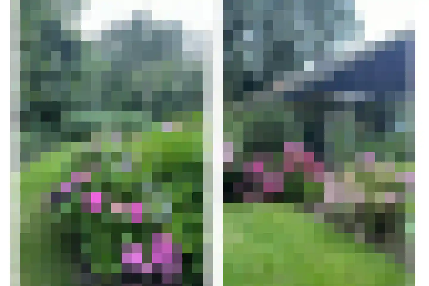 Prinsepark 16 Domburg thumbnail 22