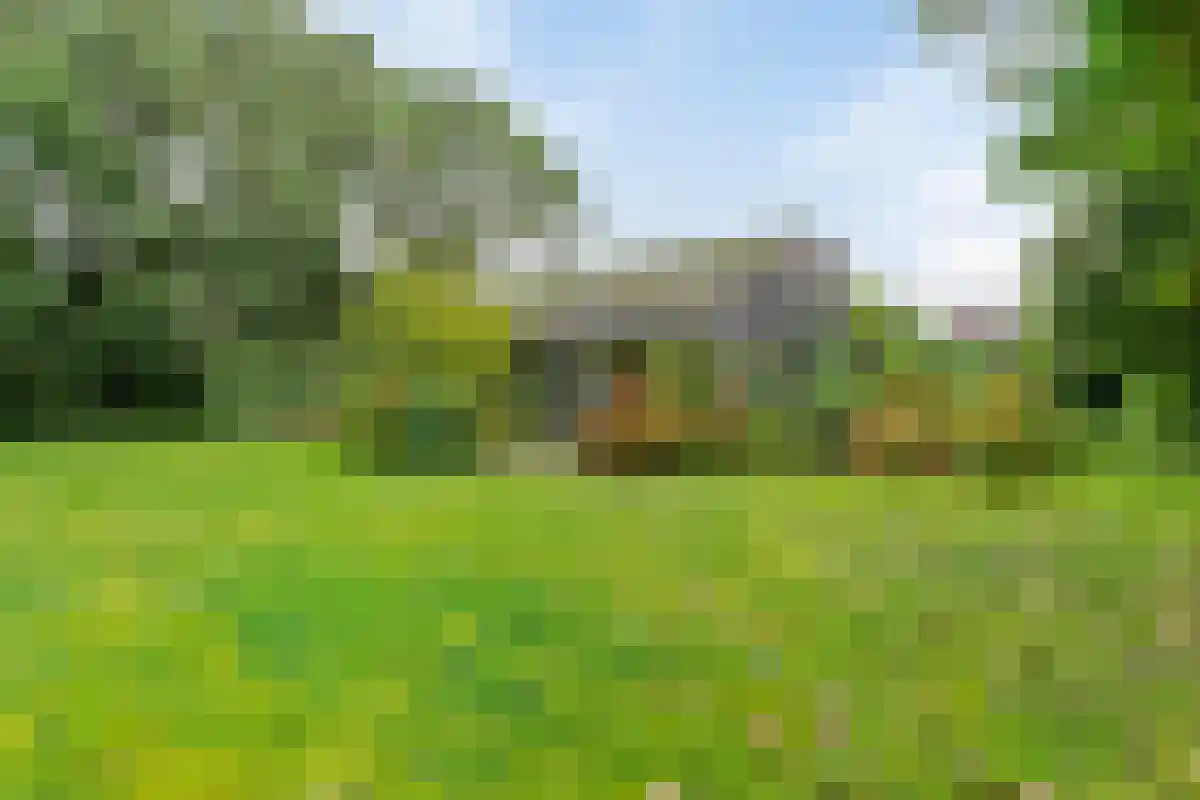 Prinsepark 16 Domburg thumbnail 23