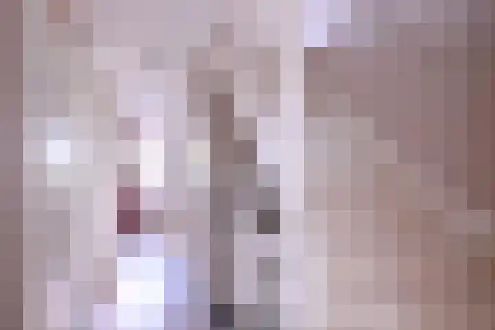 Prinses Alexiahof 16 Brummen thumbnail 12