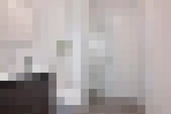 Prinses Alexiahof 16 Brummen thumbnail 18