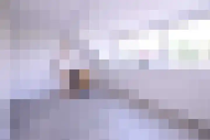 Prinses Alexiahof 16 Brummen thumbnail 25