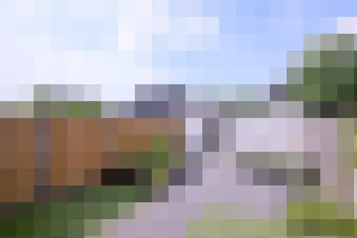Prinses Alexiahof 16 Brummen thumbnail 30