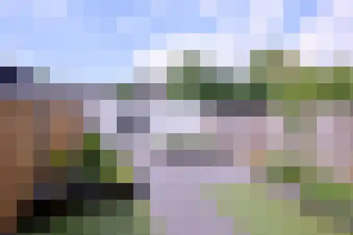 Prinses Alexiahof 16 Brummen thumbnail 31