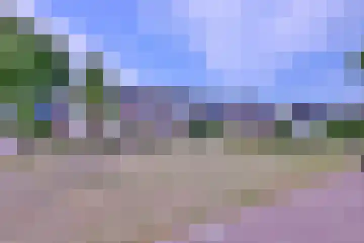 Prinses Alexiahof 16 Brummen thumbnail 33