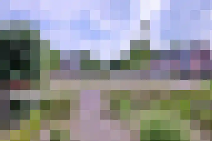 Prinses Alexiahof 16 Brummen thumbnail 34