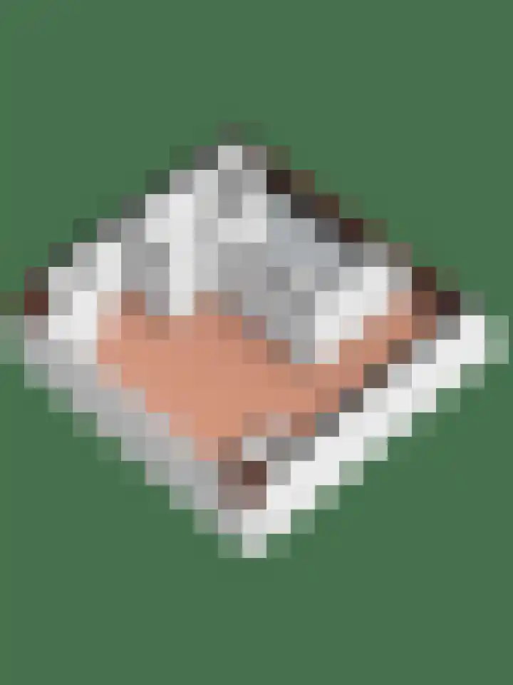 Prinses Alexiahof 16 Brummen thumbnail 42