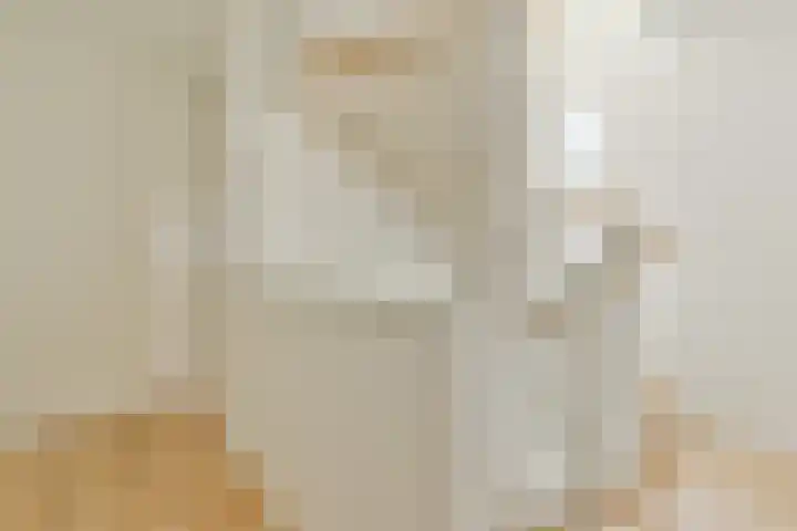 Prinses Alexialaan 15 Hoofddorp thumbnail 12