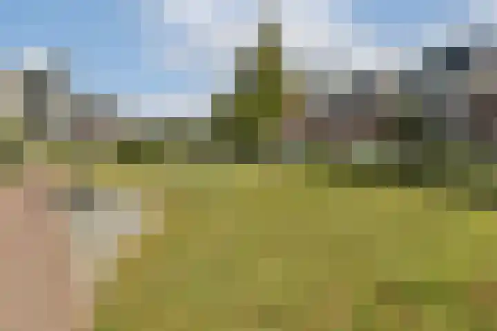 Prinses Alexialaan 15 Hoofddorp thumbnail 21
