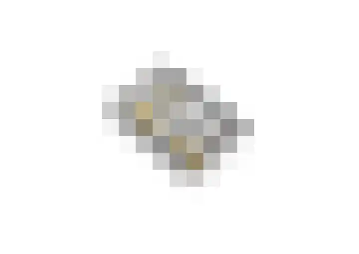 Prinses Alexialaan 15 Hoofddorp thumbnail 26