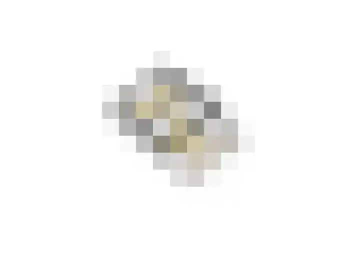 Prinses Alexialaan 15 Hoofddorp thumbnail 27