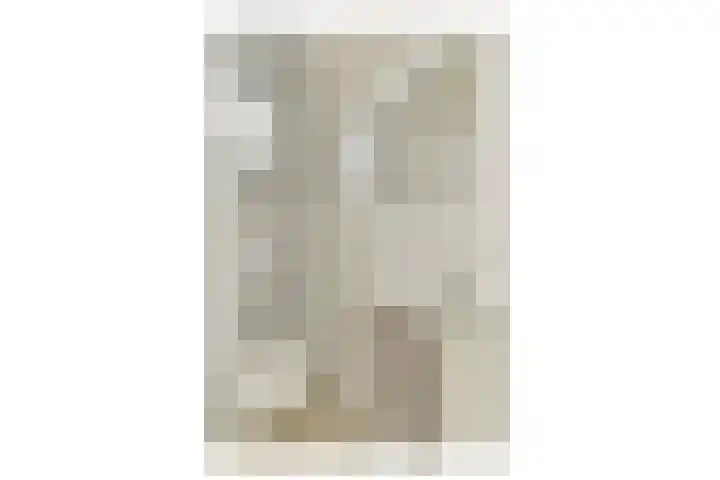 Prinses Alexialaan 15 Hoofddorp thumbnail 8