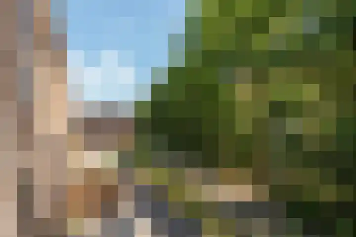 Prinses Alexialaan 192 Zeist thumbnail 18
