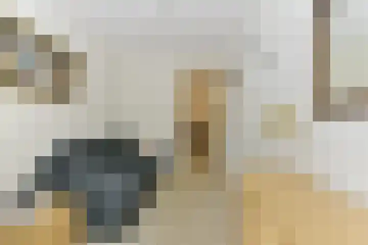 Prinses Alexialaan 192 Zeist thumbnail 22