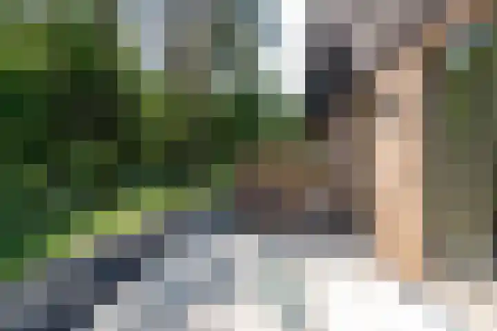 Prinses Alexialaan 192 Zeist thumbnail 27