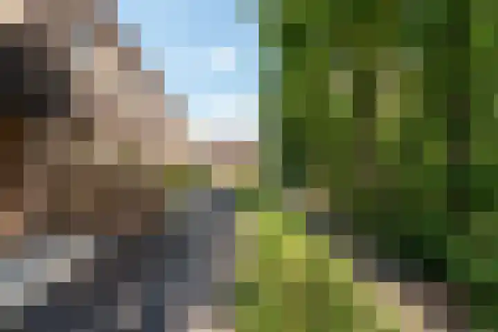 Prinses Alexialaan 192 Zeist thumbnail 29