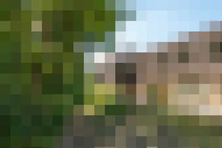 Prinses Alexialaan 192 Zeist thumbnail 30