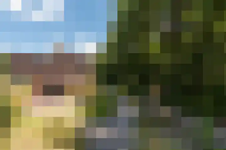 Prinses Alexialaan 192 Zeist thumbnail 31