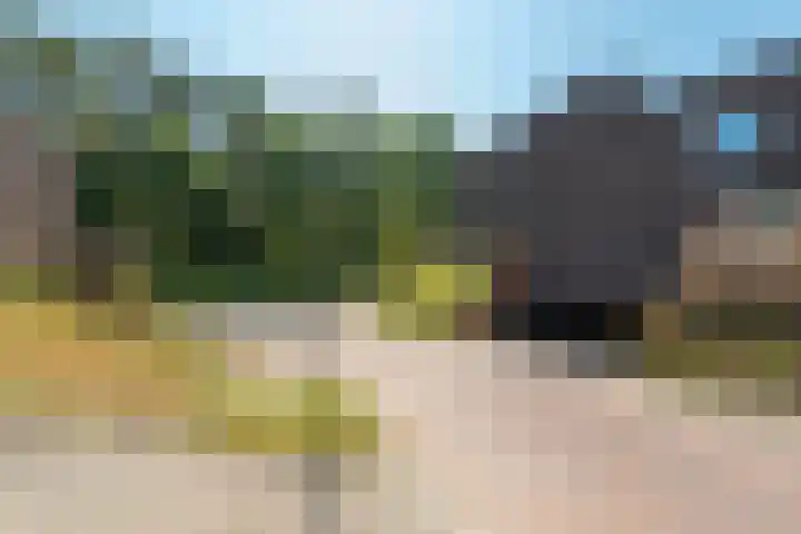 Prinses Alexialaan 192 Zeist thumbnail 32