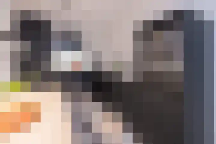Prinses Alexialaan 218 Zeist thumbnail 10
