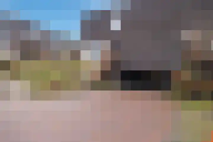 Prinses Alexialaan 218 Zeist thumbnail 24