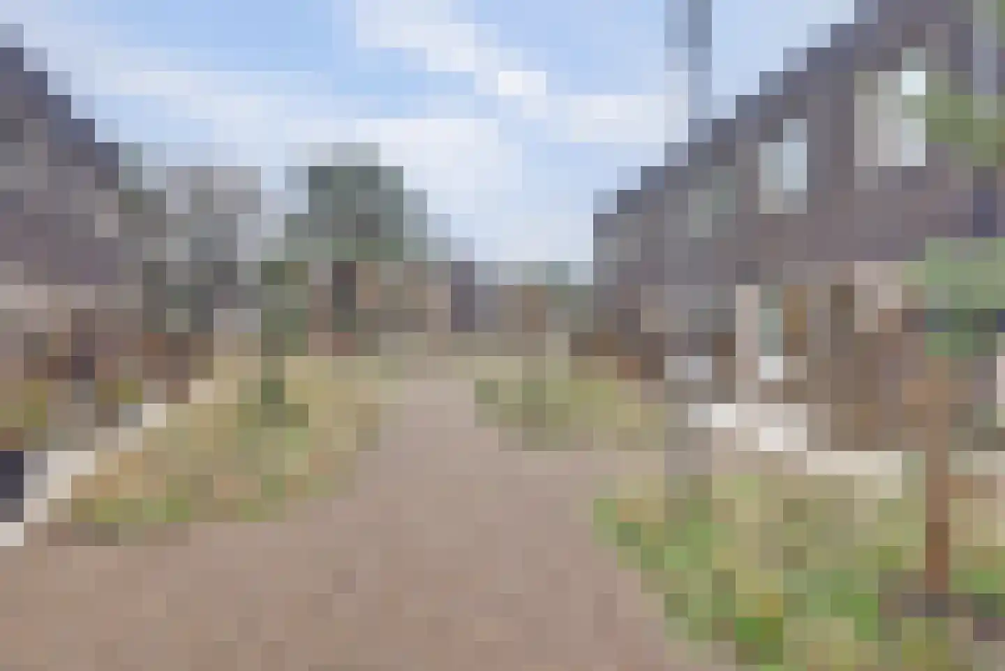 Prinses Alexialaan 220 Zeist thumbnail 25