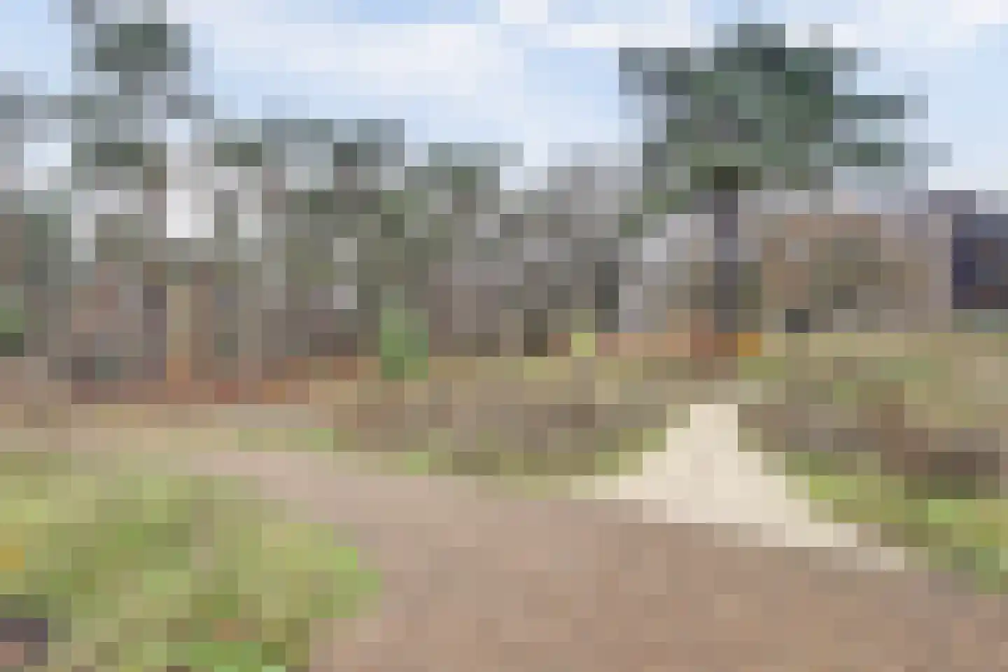Prinses Alexialaan 220 Zeist thumbnail 30