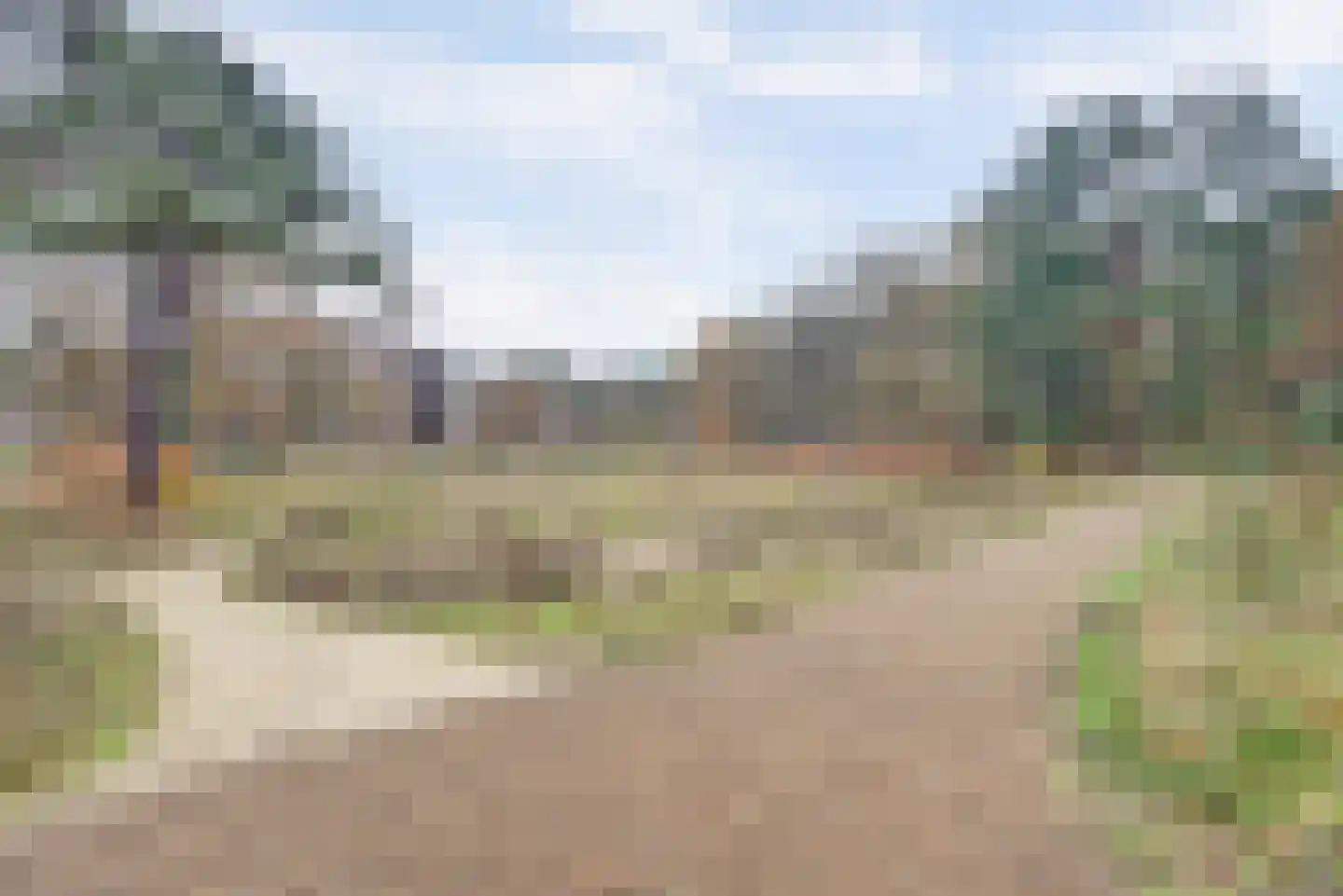 Prinses Alexialaan 220 Zeist thumbnail 31