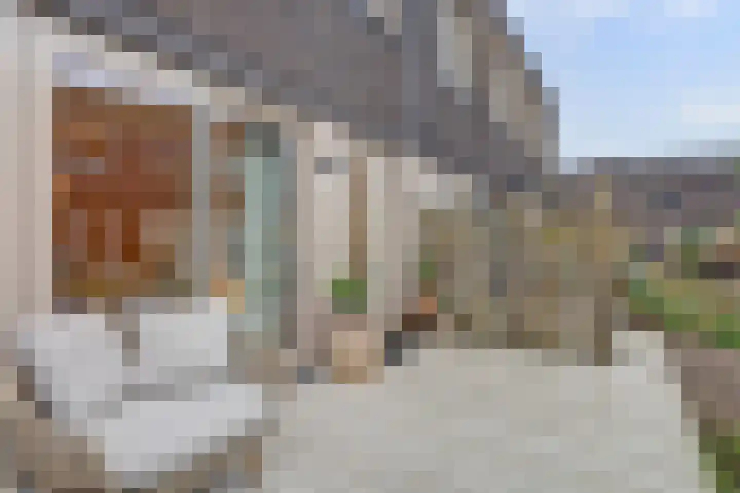 Prinses Alexialaan 220 Zeist thumbnail 8