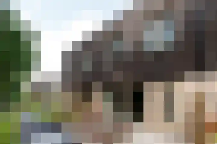Prinses Alexialaan 232 Zeist thumbnail 18