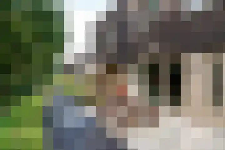 Prinses Alexialaan 232 Zeist thumbnail 6