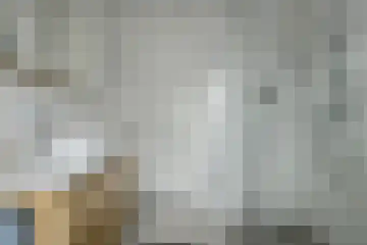 Prinses Alexiastraat 6 Oosterhout thumbnail 21