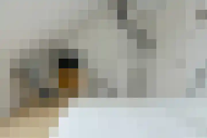 Prinses Alexiastraat 6 Oosterhout thumbnail 30