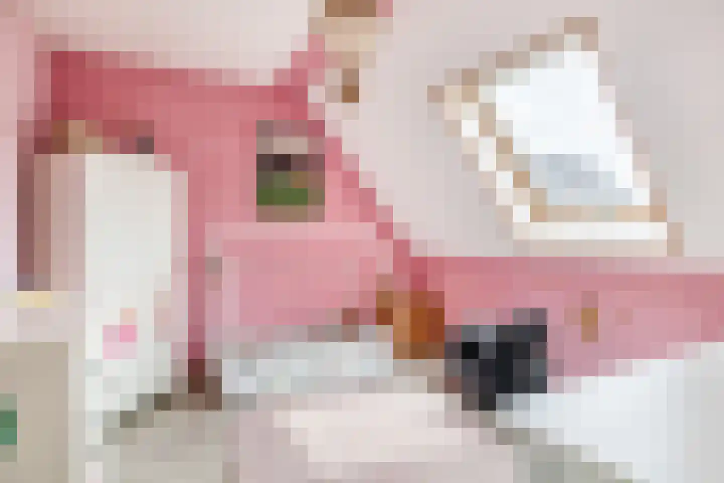 Prinses Amaliahof 1 Julianadorp thumbnail 27