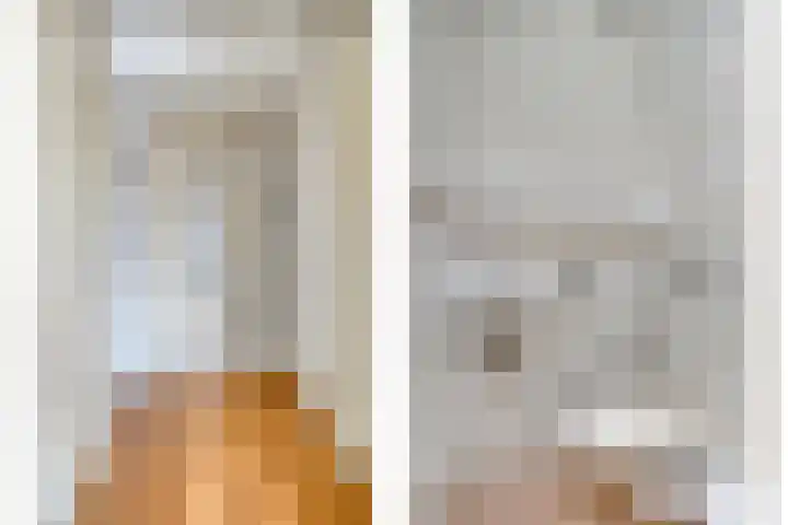 Prinses Amaliahof 20 Oisterwijk thumbnail 5