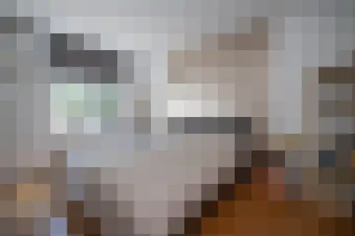 Prinses Amaliahof 7 Weesp thumbnail 32
