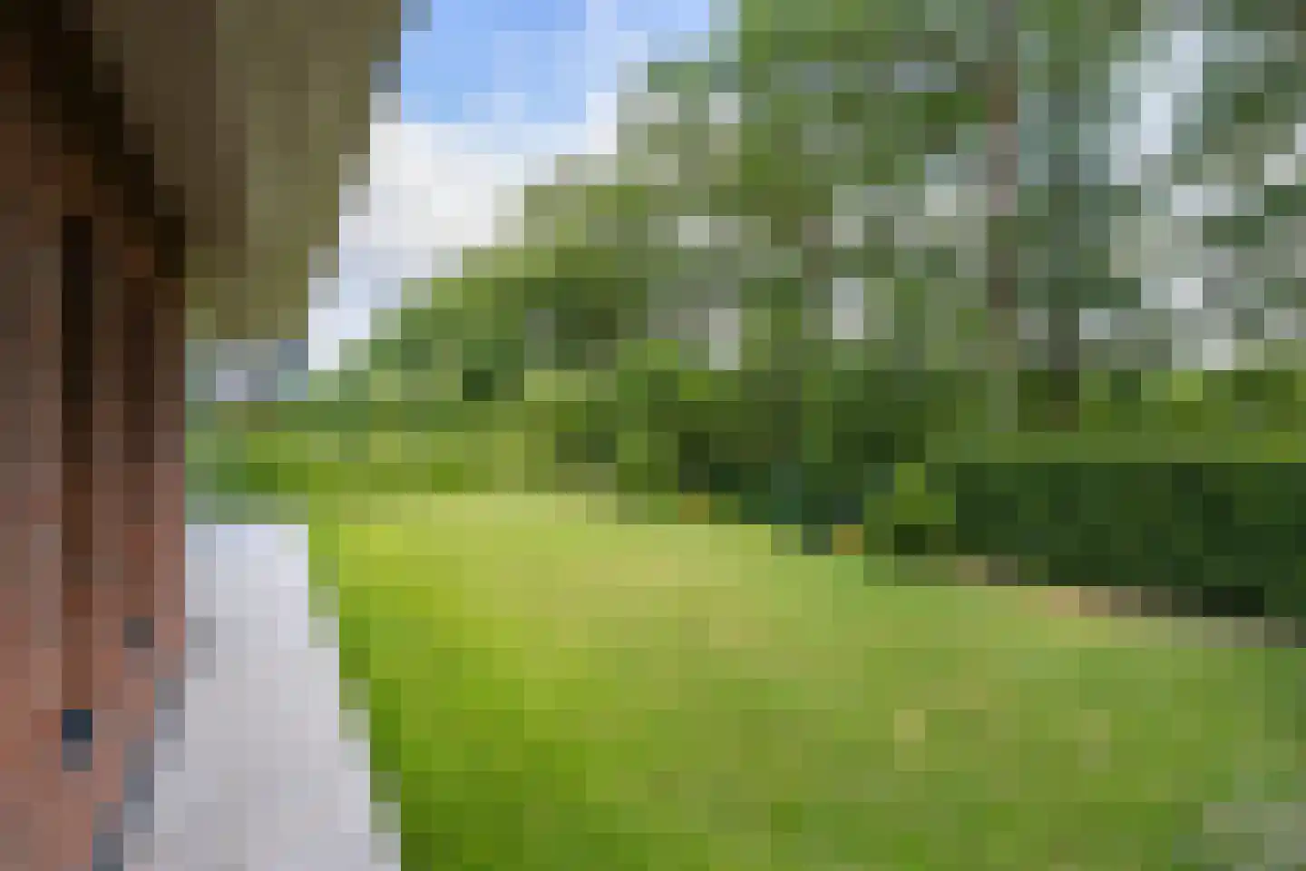 Prinses Amalialaan 13 Woudenberg thumbnail 32
