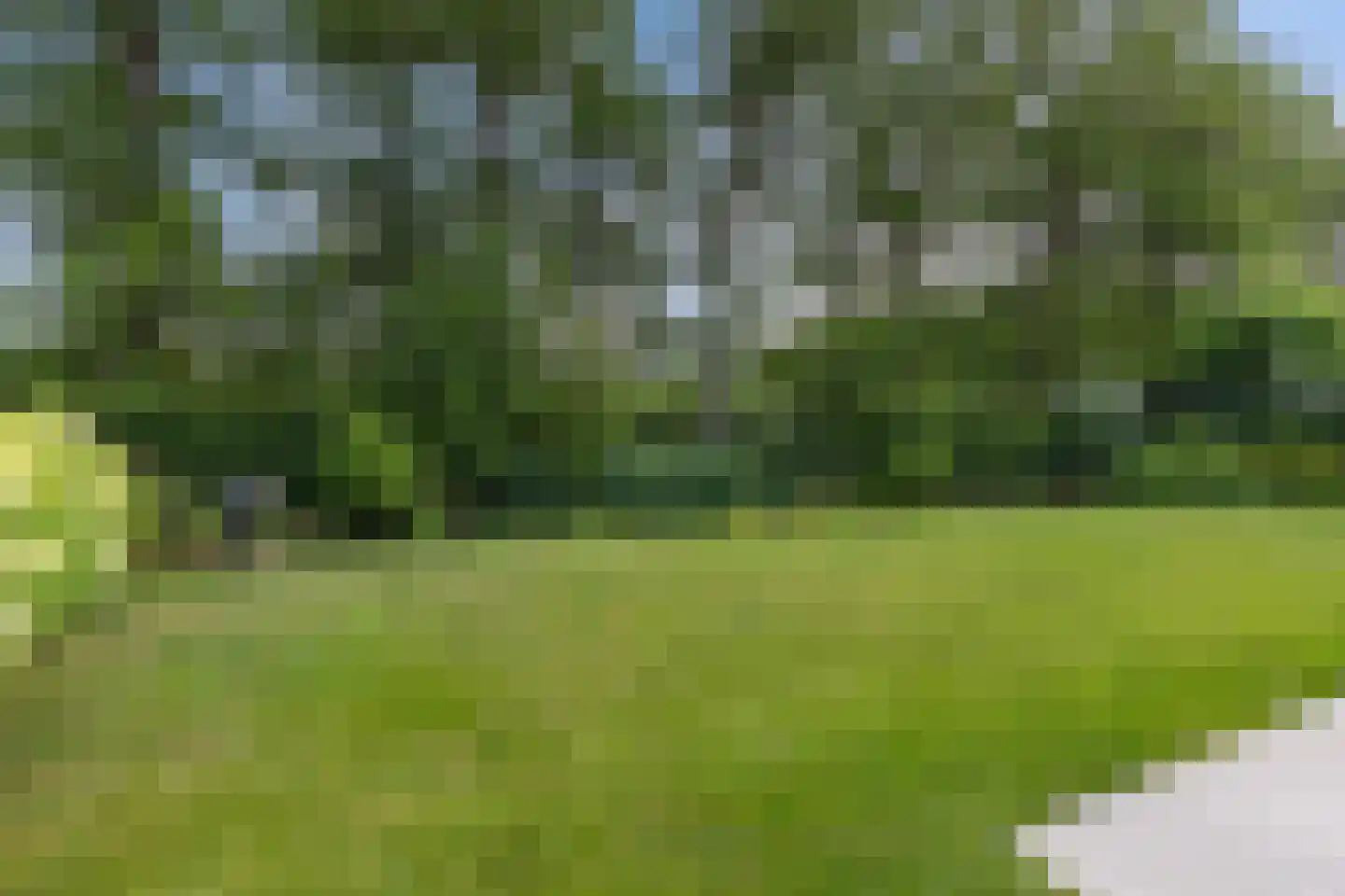Prinses Amalialaan 13 Woudenberg thumbnail 33