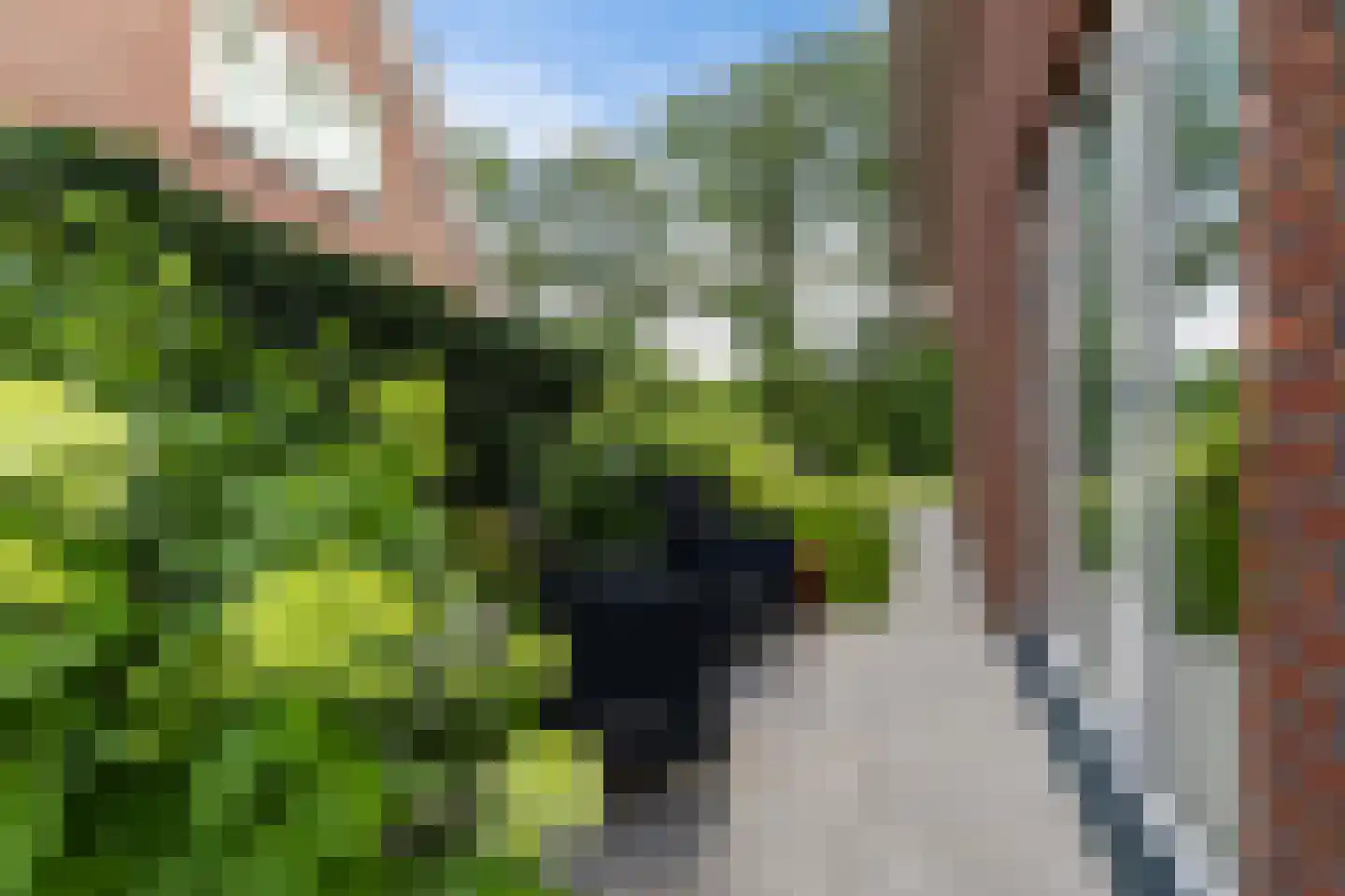 Prinses Amalialaan 13 Woudenberg thumbnail 35