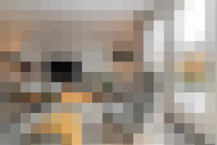 Prinses Amalialaan 20 Margraten thumbnail 4