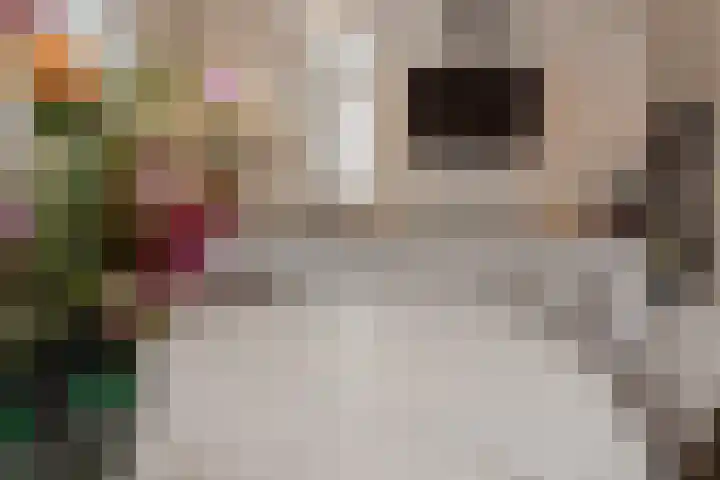 Prinses Amalialaan 20 Margraten thumbnail 9