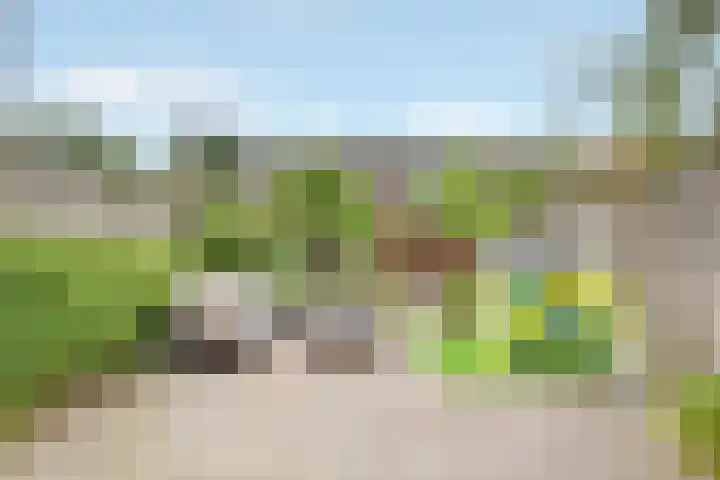 Prinses Amalialaan 4 Maartensdijk thumbnail 10