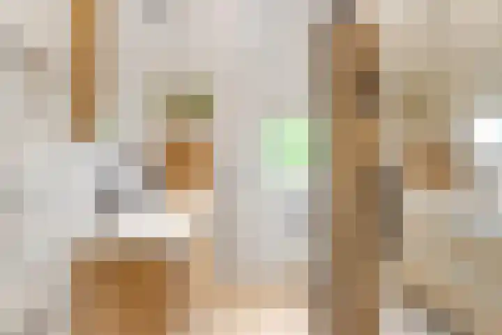 Prinses Amalialaan 4 Maartensdijk thumbnail 20