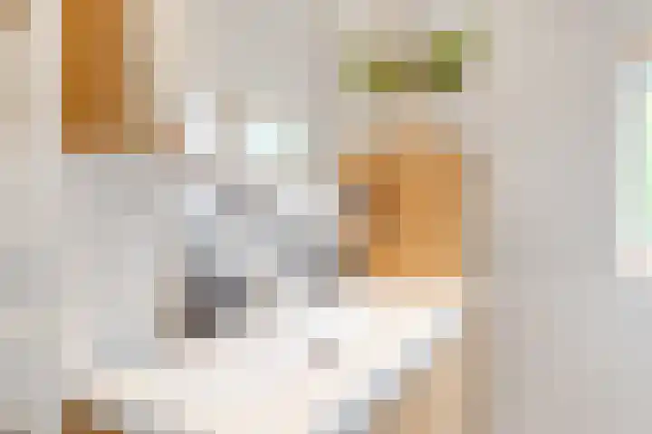 Prinses Amalialaan 4 Maartensdijk thumbnail 22