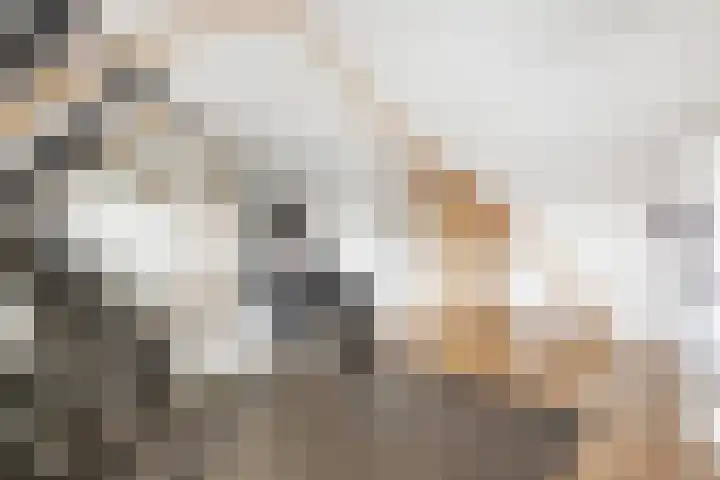 Prinses Amalialaan 4 Maartensdijk thumbnail 26