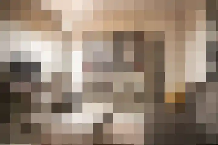 Prinses Amaliaplaats 2 Haarlem thumbnail 33