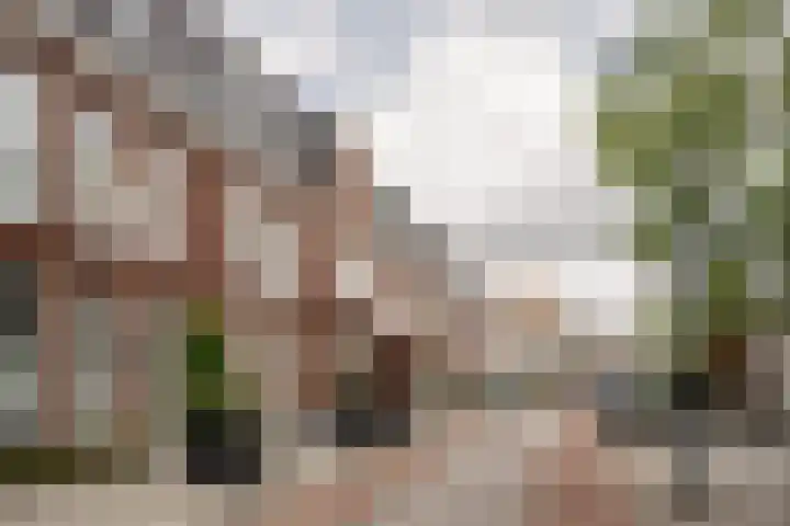 Prinses Amaliaplaats 5 Haarlem thumbnail 43