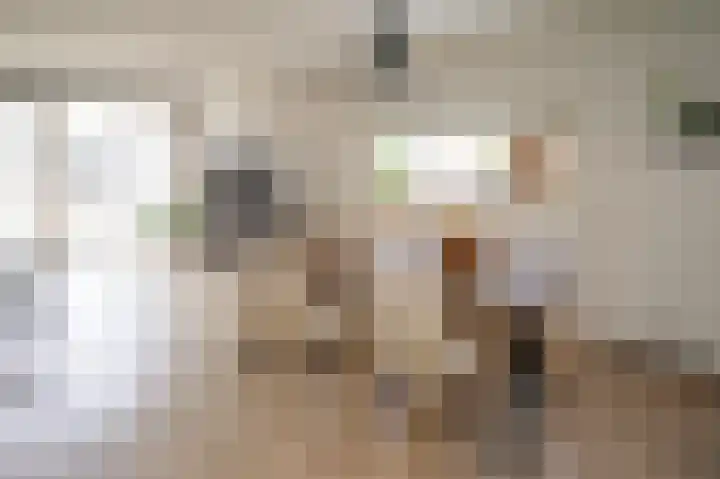 Prinses Amaliaplantsoen 12 Alkmaar thumbnail 13