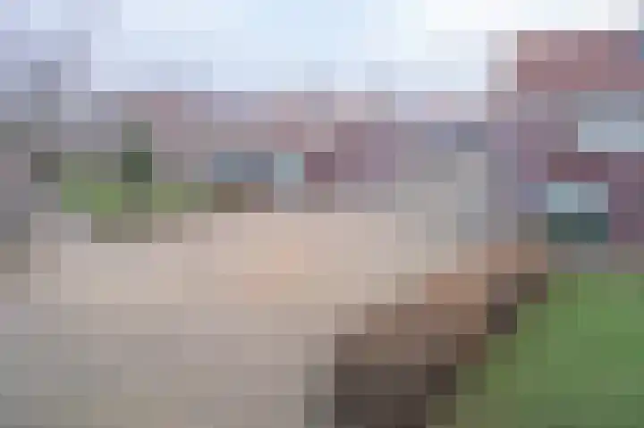 Prinses Amaliaplantsoen 12 Alkmaar thumbnail 20