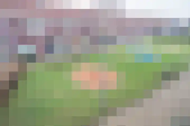 Prinses Amaliaplantsoen 12 Alkmaar thumbnail 21