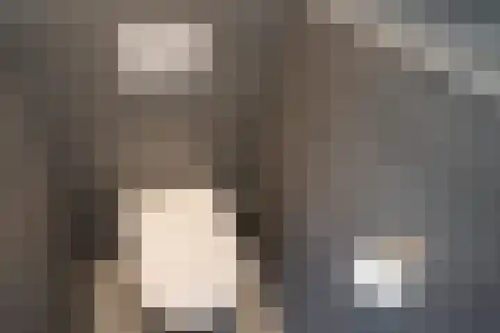 Prinses Amaliaplantsoen 12 Alkmaar thumbnail 22